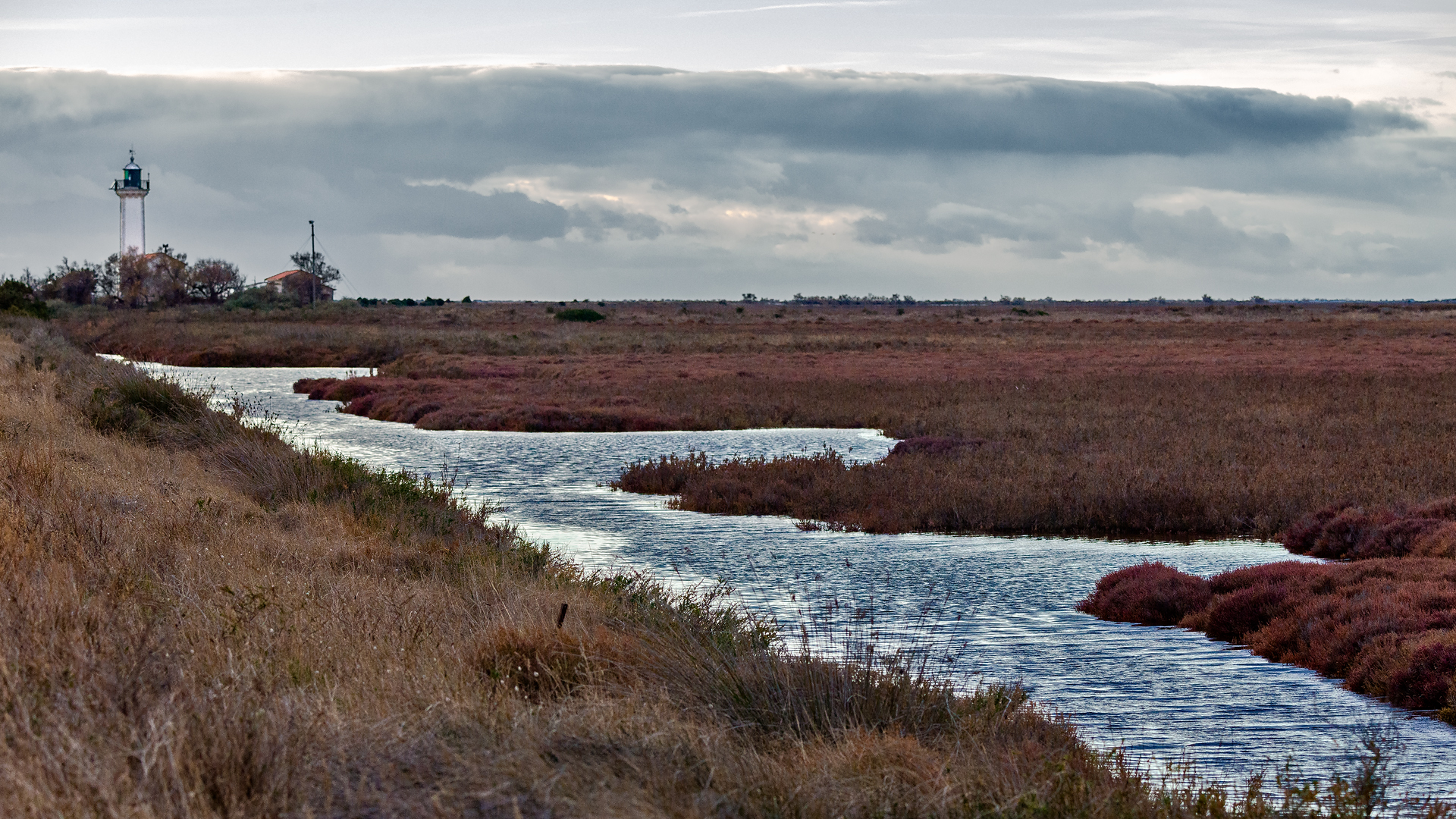 Camargue 1346