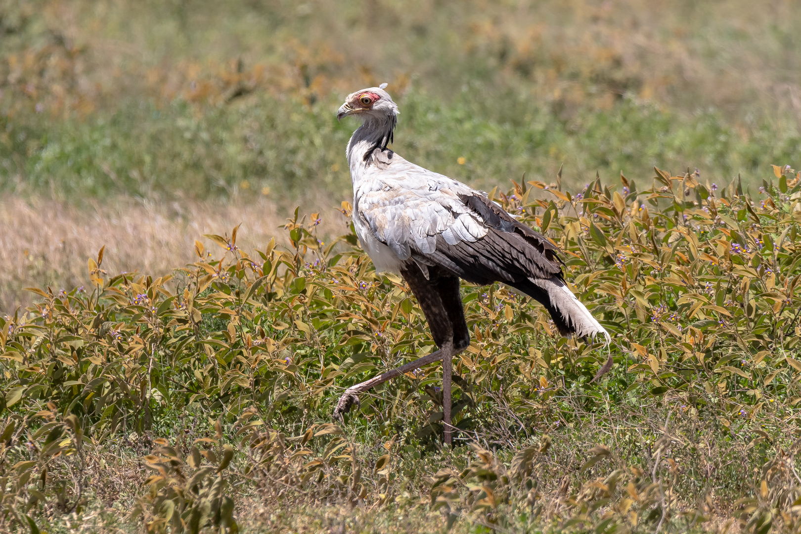 Tanzania2 0081