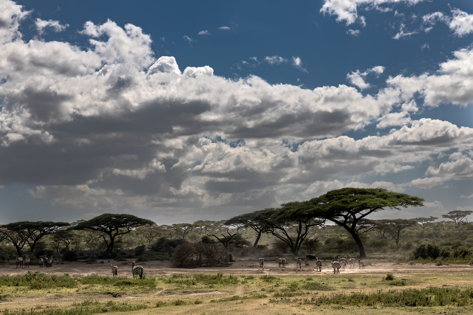 Tanzania2 0104