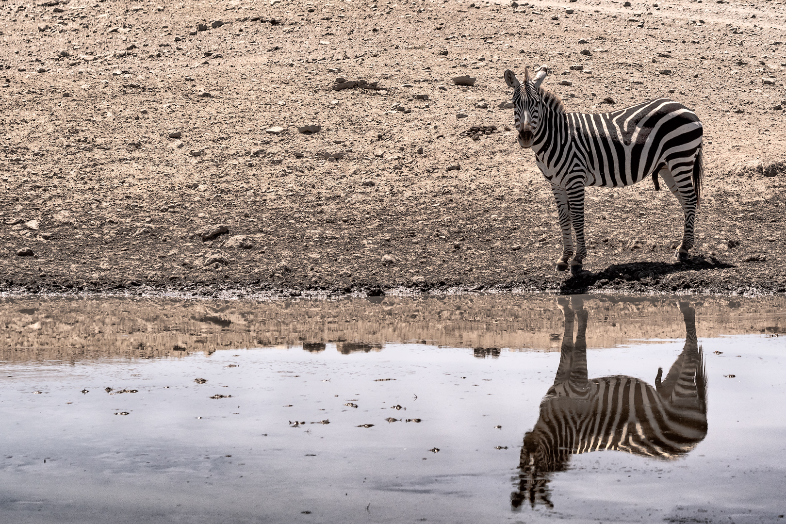 Tanzania2 0107