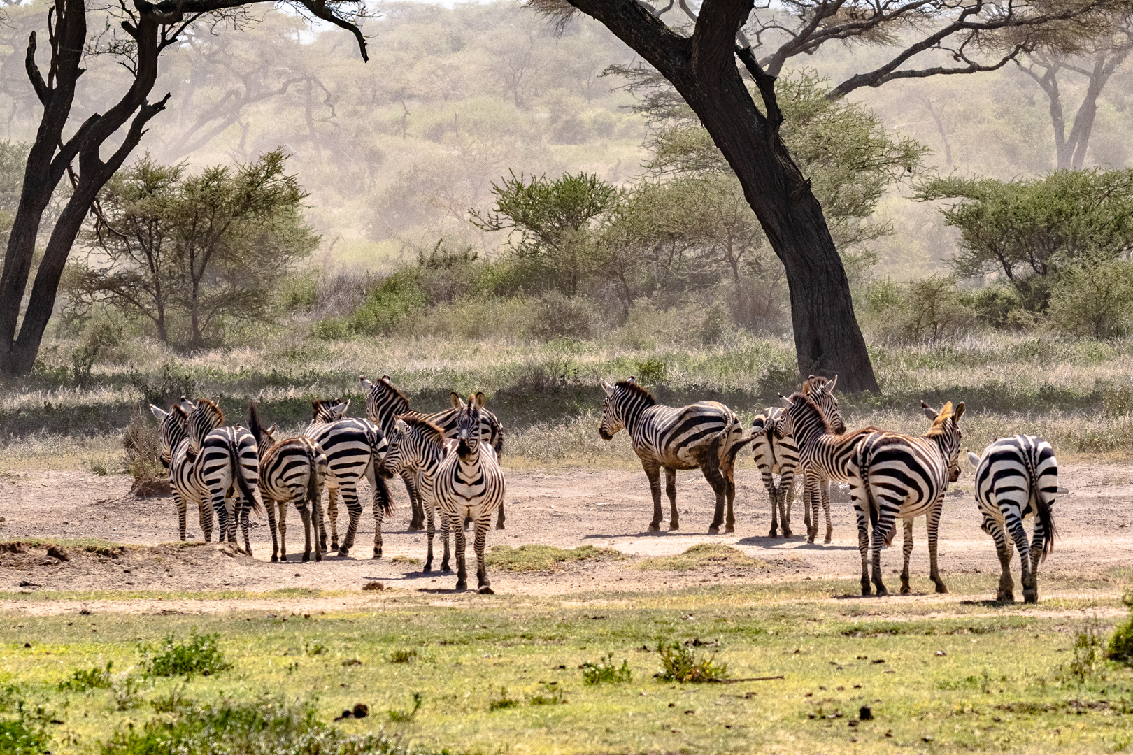 Tanzania2 0183