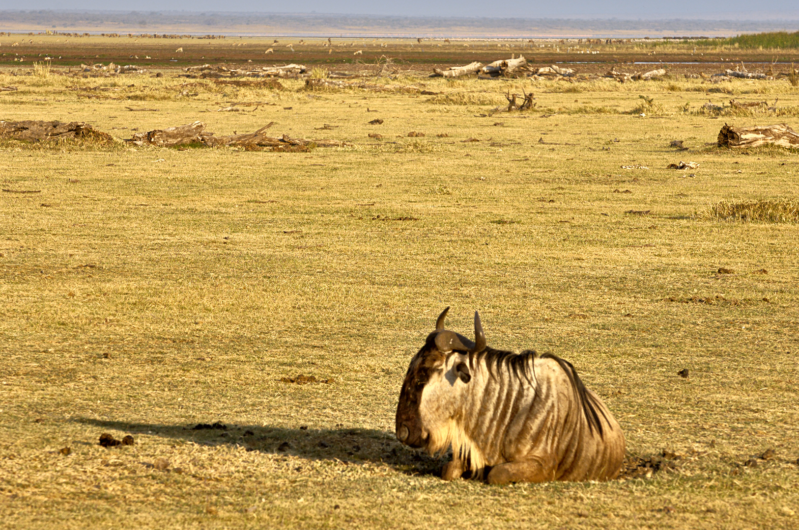 Tanzania 20080824 160111