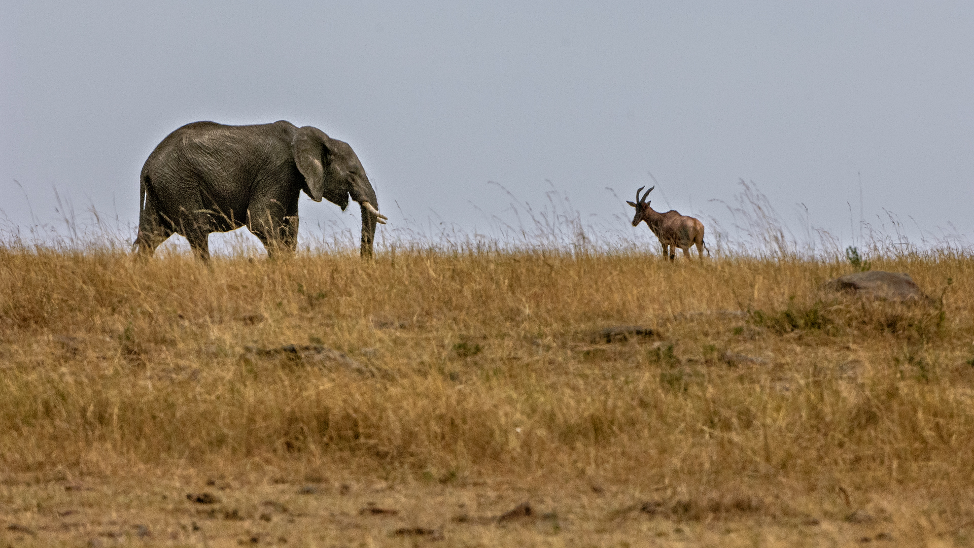 Tanzania 20080829 093429