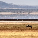 Tanzania_20080824_122037.jpg