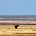 Tanzania_20080824_130431.jpg