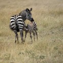 Tanzania_20080829_094114.jpg